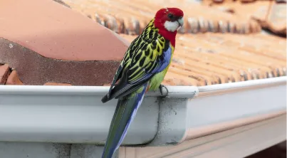 Sam’s Crystal Clear Cleaning